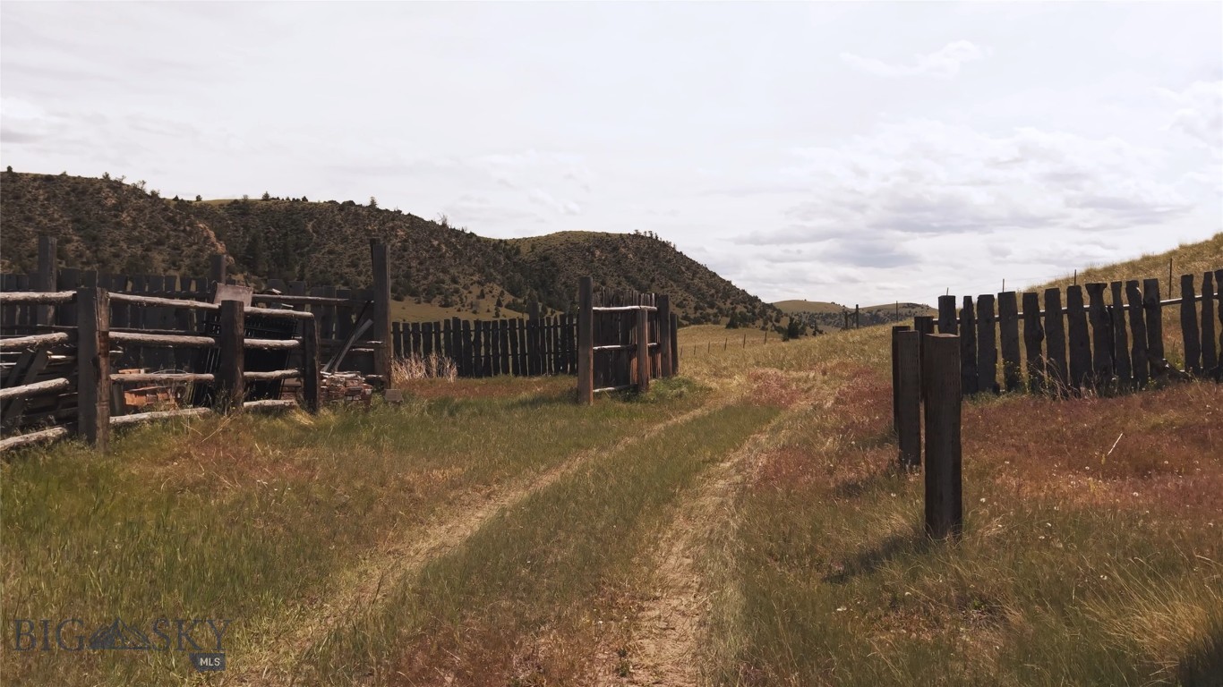 Ponderosa Pines - Land