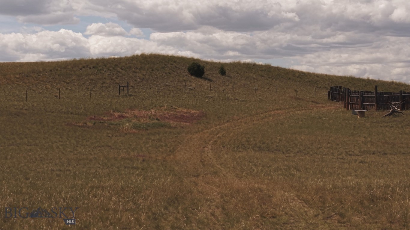 Ponderosa Pines - Land