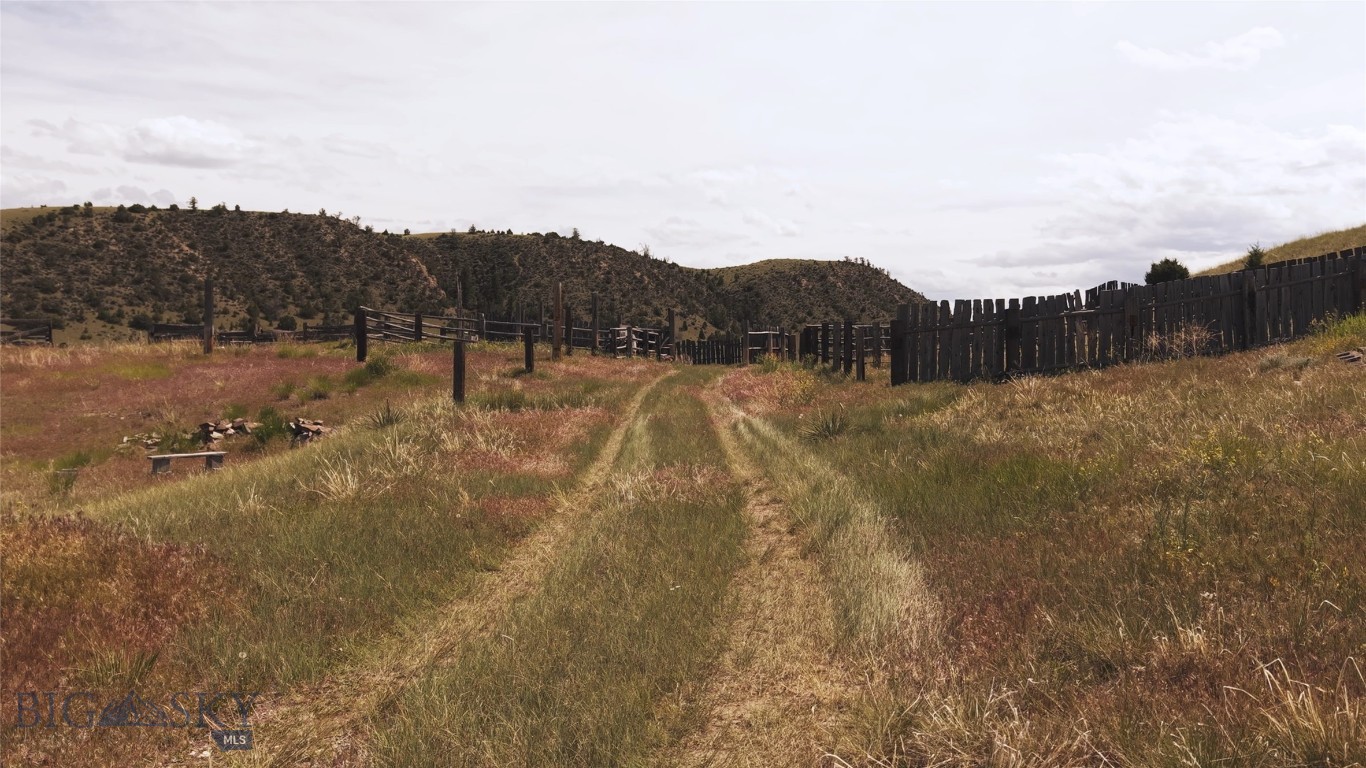 Ponderosa Pines - Land