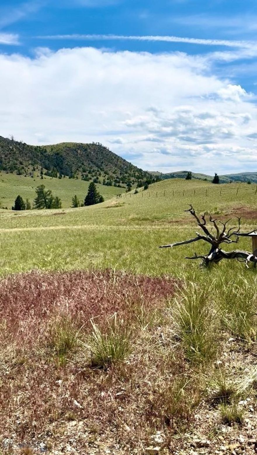 $10,000 Seller Concession Offered - Nearly 20 Acres Bordering a 6,700-Acre Ranch in the Gallatin Valley.  

Dreaming of space, privacy, and unfiltered Montana beauty? This is it. Welcome to a rare offering in the Gallatin Valley - two adjacent parcels totaling 19.341 acres, accessible off Drake Lane in Ponderosa Pines, where frontier  freedom defines the lifestyle.

What sets this land apart? Character. This isn’t your typical flat or steep, unbuildable tract. This property offers gentle, rolling topography, interspersed with rugged hillsides and a dramatic ravine, creating a landscape that feels wild yet usable. It’s prime for creative builds, with several panoramic build sites - a true treasure in this area.

Along this stretch of Montana land, you can live with less boundaries. Want to homestead? Go for it. Imagine...gardens, bees, chickens, horses, goats, pigs - you name it. Or, keep it wild and simple. Either way, you’re free to live on YOUR terms.

This property directly borders a 6,700 acre ranch, meaning your views, and privacy, are protected - and they are nothing short of SPECTACULAR. Gaze out at the Tobacco Roots and let the Montana sky do the rest. Juniper trees dot the land, and old wooden corrals add a timeless, old west feel.  The adjacent and bordering properties and space set this parcel apart from the area - a true treasure to own.

What truly sets this land apart is its ease of access, despite being tucked in the hills - a welcome feature for both owners and visitors alike. You’re just minutes from the Missouri River and BLM land, with year-round recreational access, right out your future front door.

Whether you’re looking to build a multi-generational compound, a horse-ready ranchette, or your own off-grid escape, this land is ready to meet your vision.
