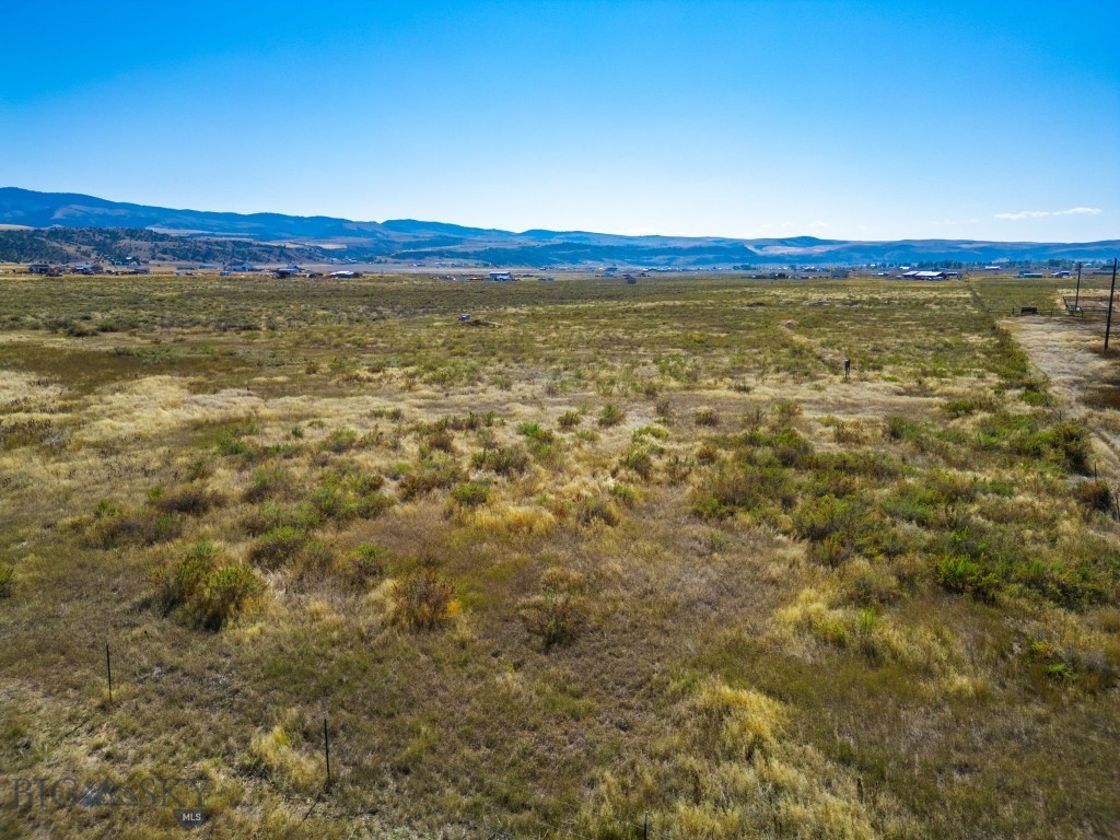 Ponderosa Pines - Land