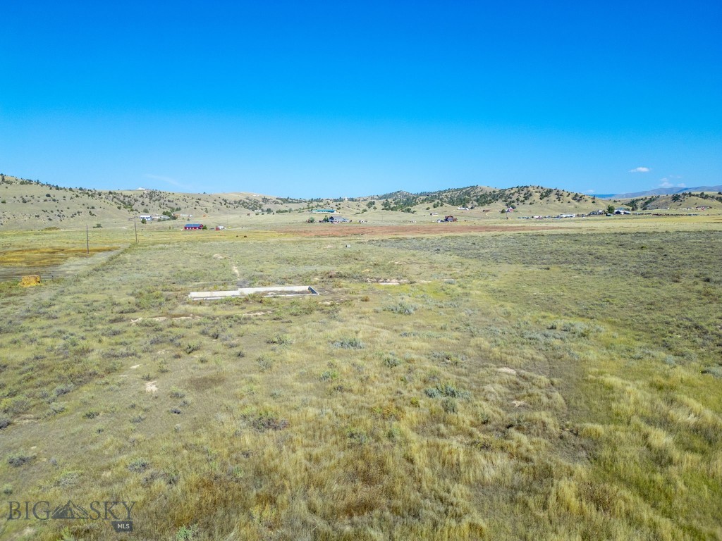 Ponderosa Pines - Land