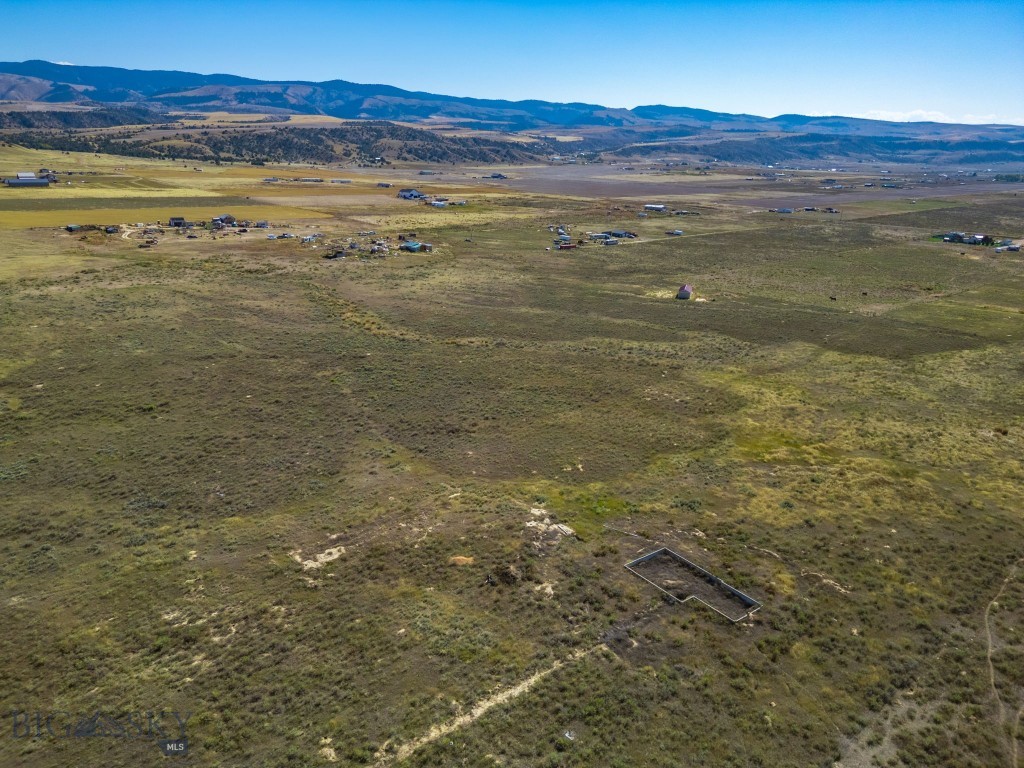 Ponderosa Pines - Land