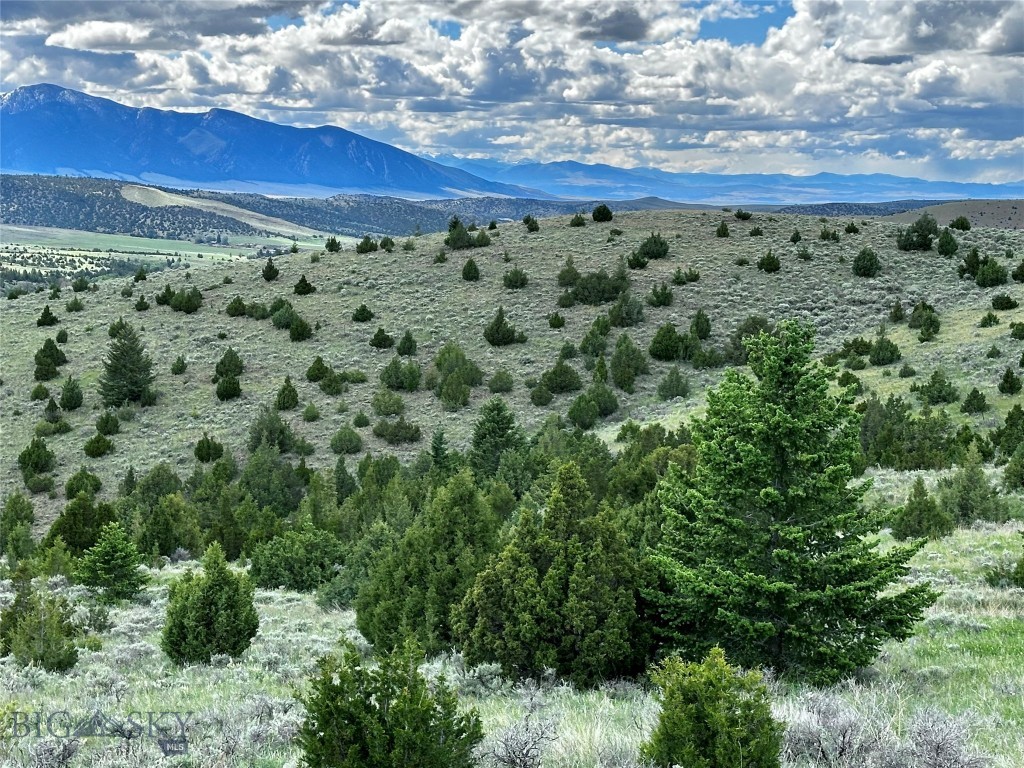 Virginia City Original Plat - Land