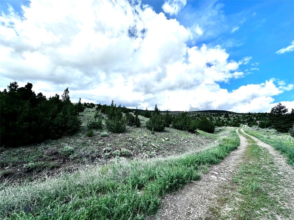 Virginia City Original Plat - Land