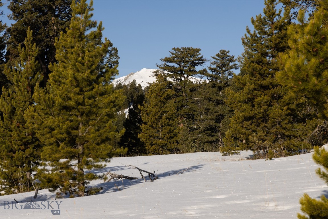 Wilderness Ridge Neighborhood - Land