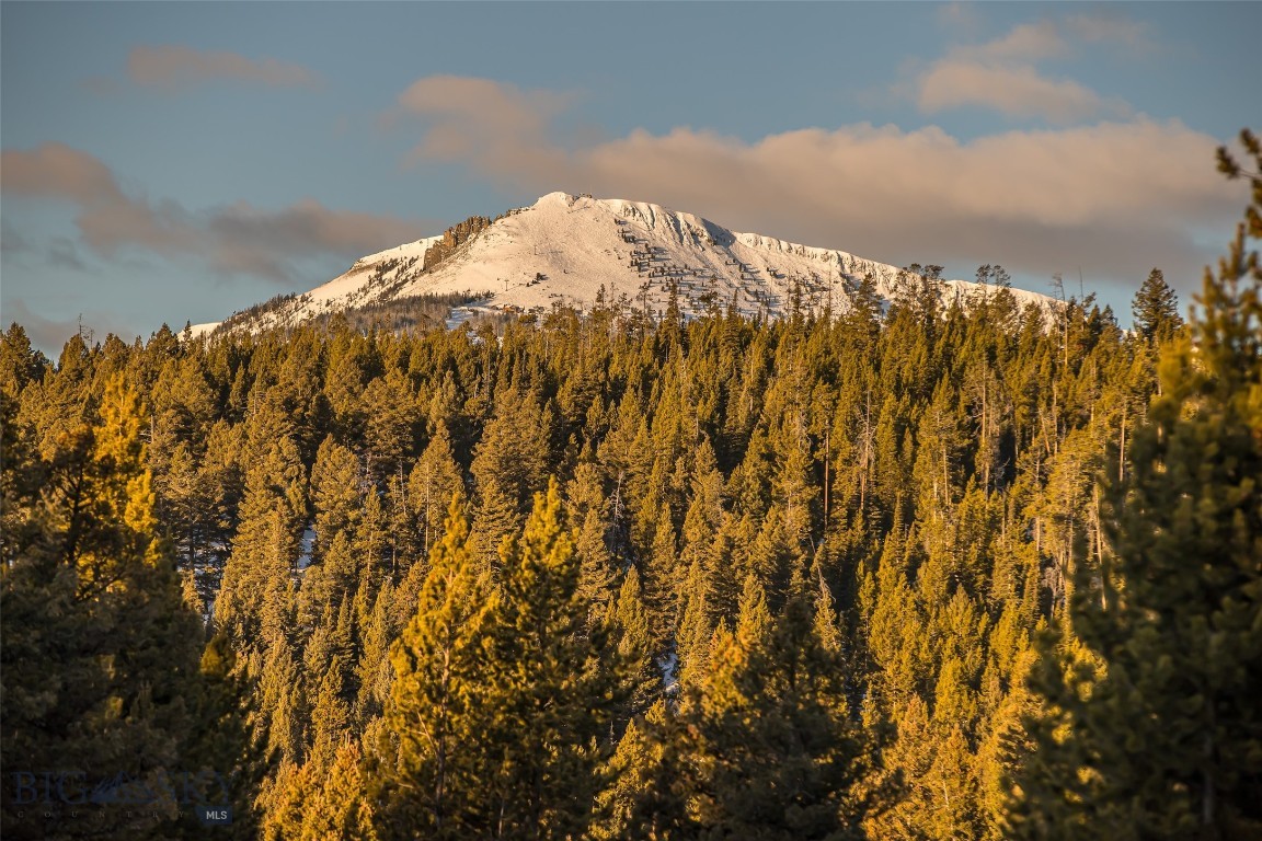 Wilderness Ridge Neighborhood - Land
