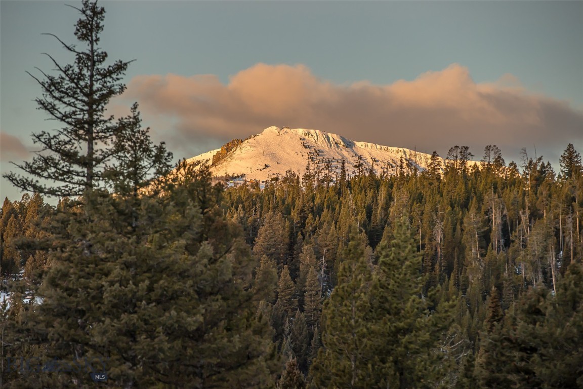 Wilderness Ridge Neighborhood - Land