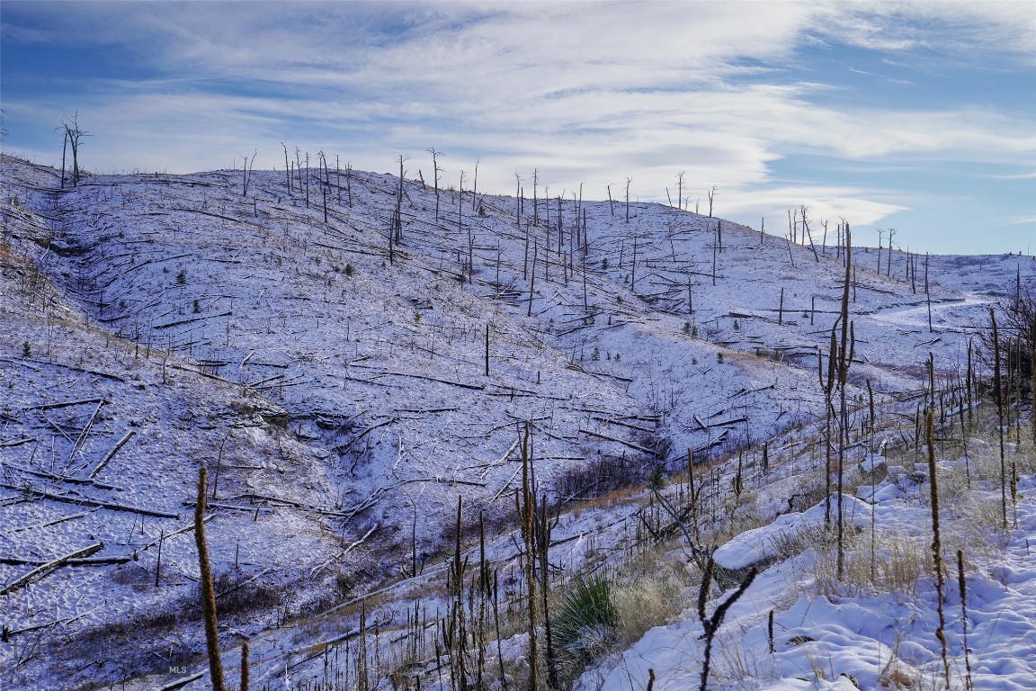 TBD Lot#222 Coyote Pass