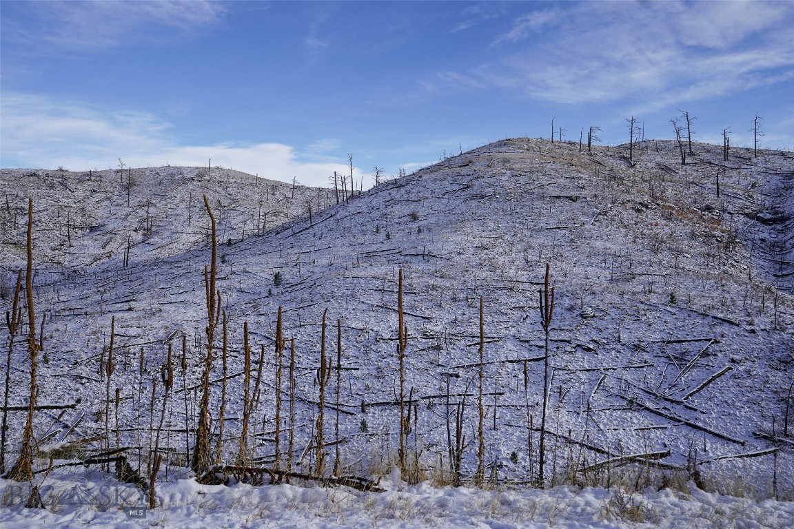 TBD Lot#222 Coyote Pass