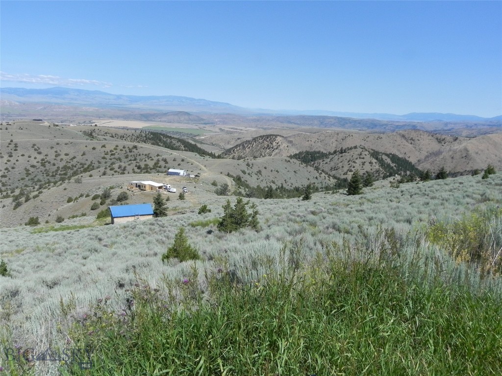 Ponderosa Pines - Land