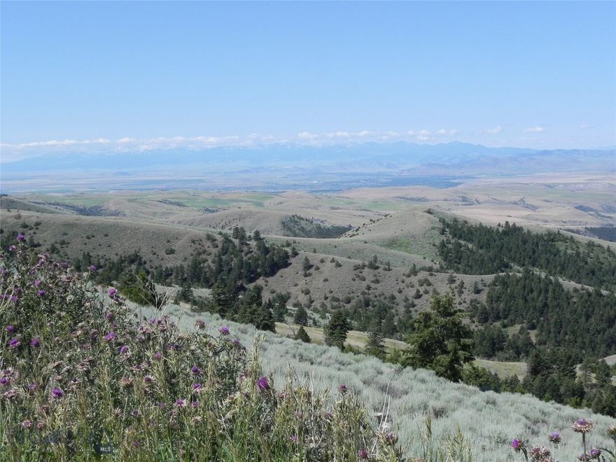 Her is a "Top of the World" 10+ acre lot with great views and ready for you to build your cabin on. It is off grid and in an area that would do great with alternative sources. Lot 358 which is 2 lots past is also for sale if someone wants a package deal. It can be seasonal access in the the winter but would make a great get away. 4 wheel drive is recommended.  GPS 46.01247, -111.31096