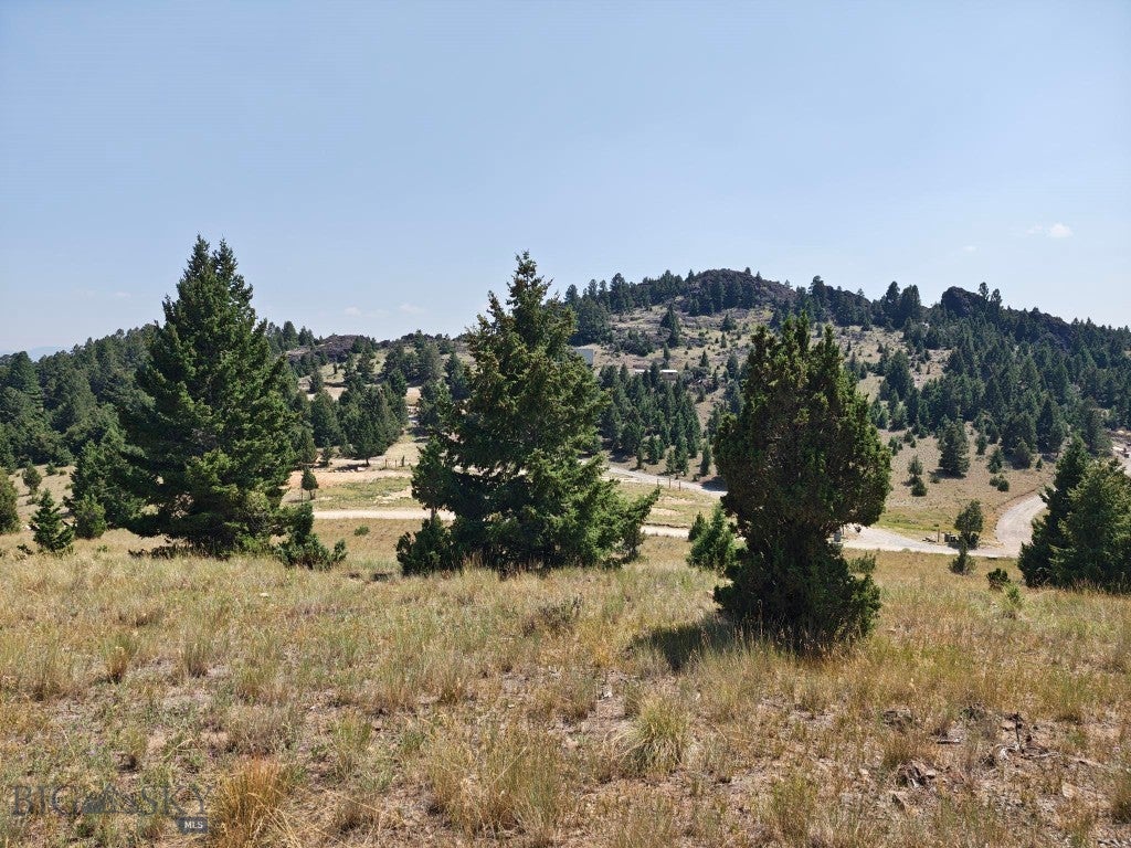 985 Tenderfoot Trail