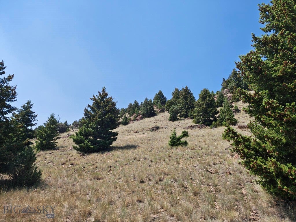 985 Tenderfoot Trail