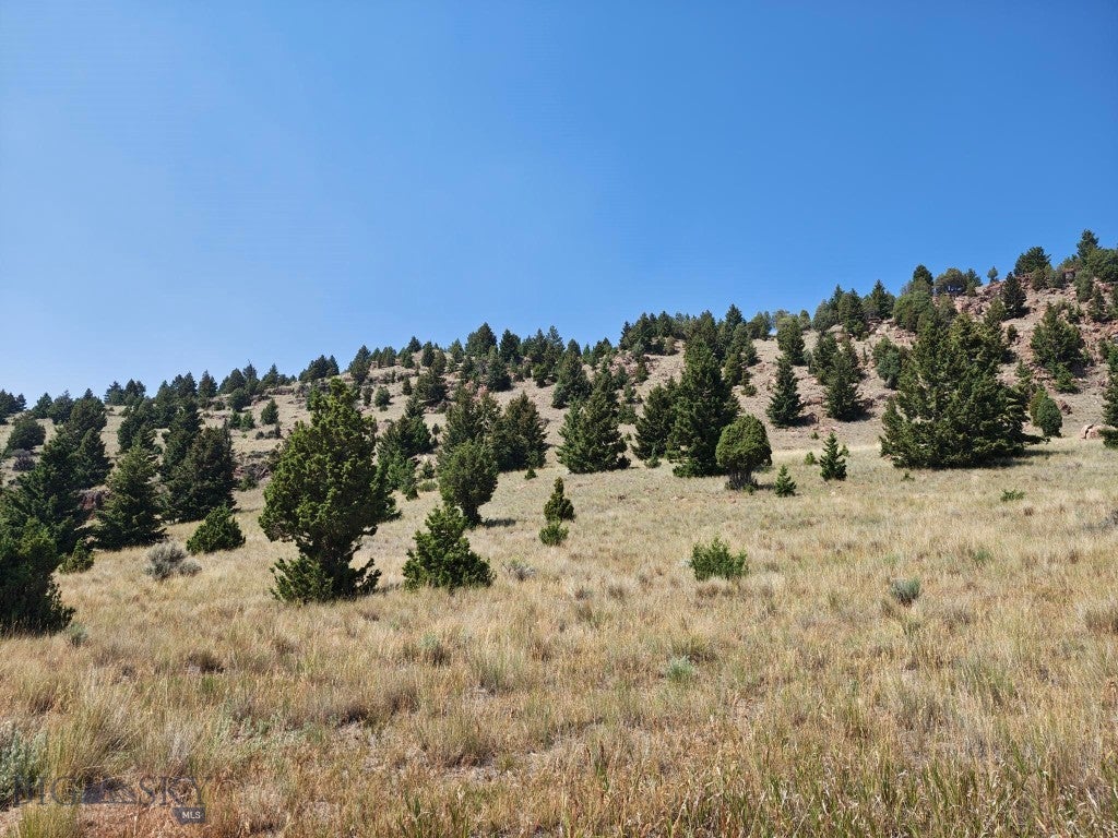 985 Tenderfoot Trail