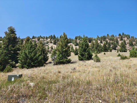 Photo of 985 Tenderfoot Trail, Ramsay, MT 59748 (MLS # 413834)