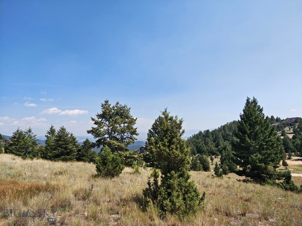 985 Tenderfoot Trail