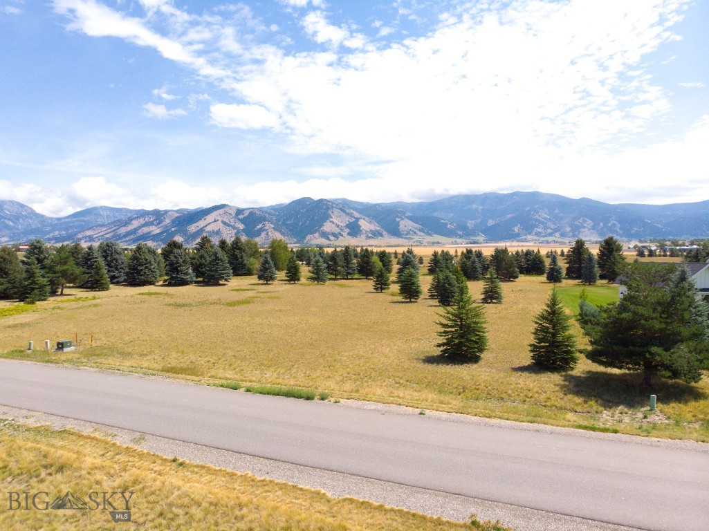 Bridger Lake Meadows - Land