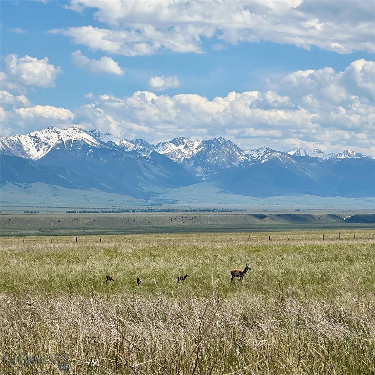 Pronghorn Meadows - Land
