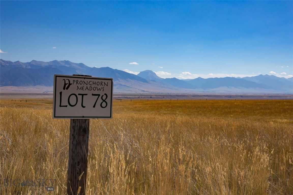 Pronghorn Meadows - Land