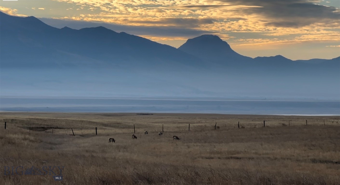 Pronghorn Meadows - Land