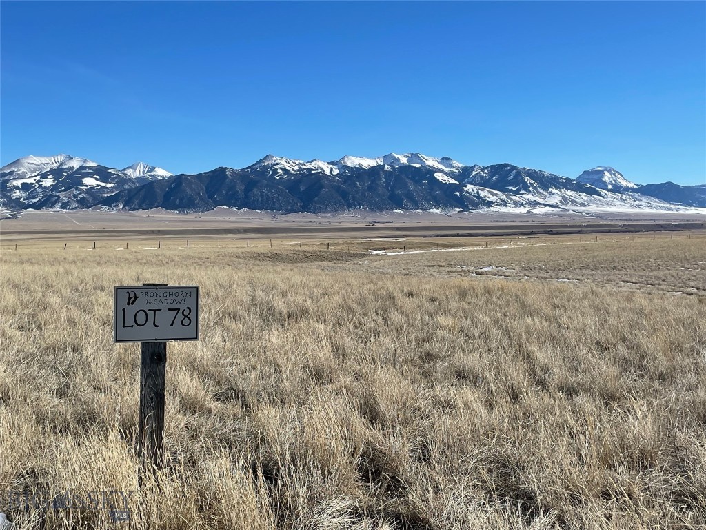 Pronghorn Meadows - Land