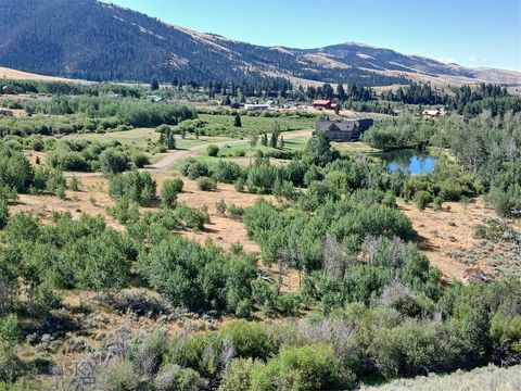 265 Rainey Mountain Road Road Polaris MT 59746