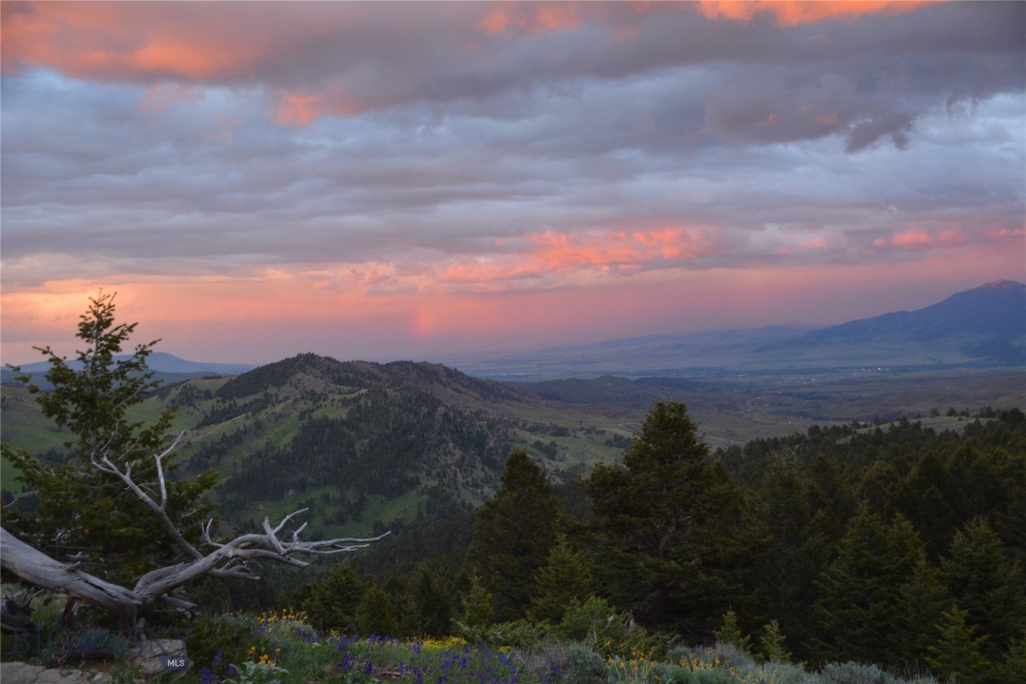 Rocky Mountain Meadows - Residential