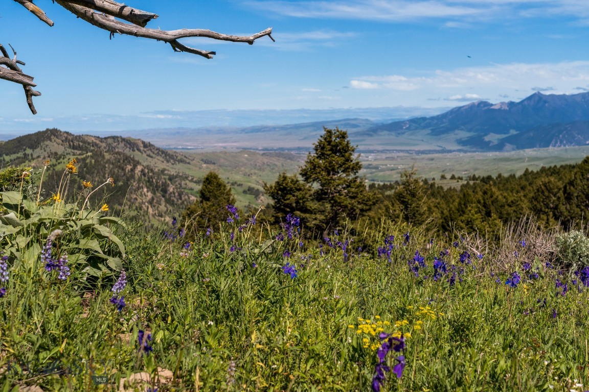Rocky Mountain Meadows - Residential