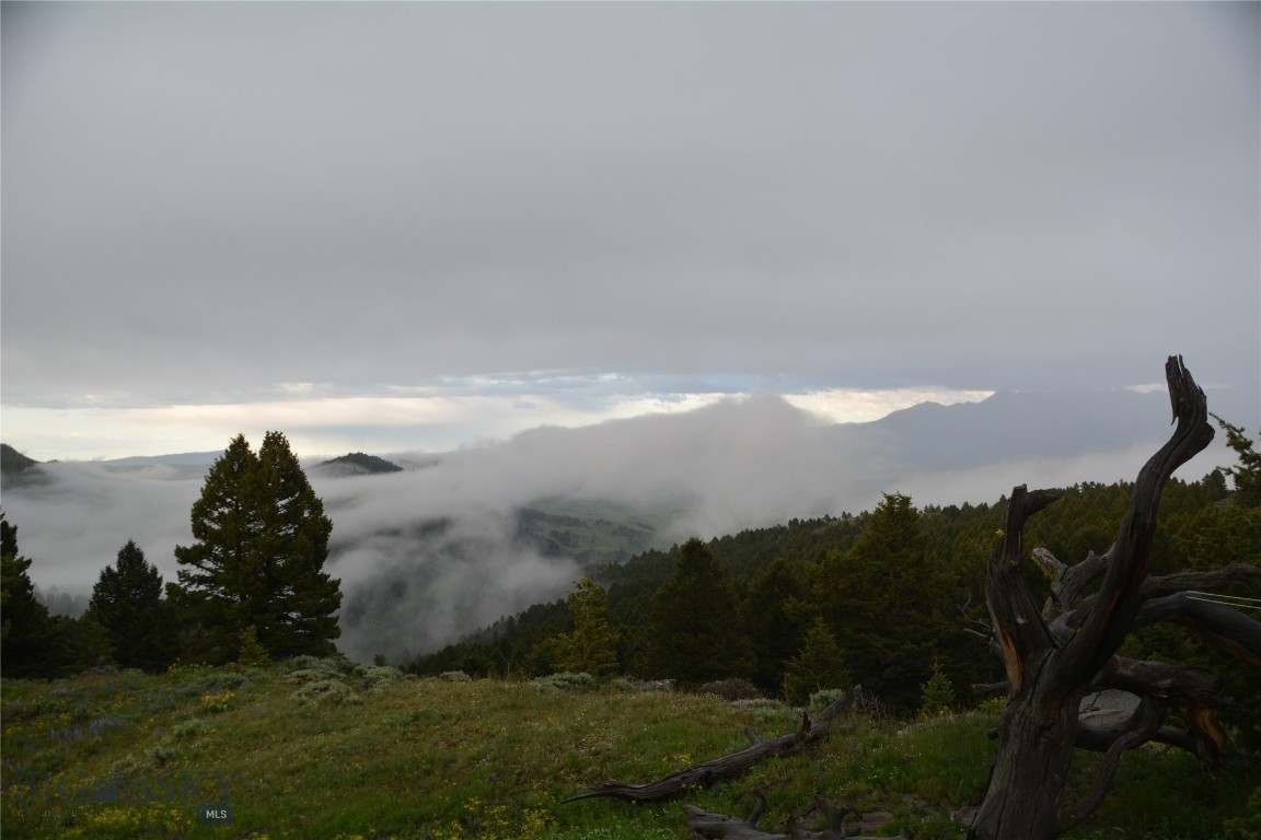 Rocky Mountain Meadows - Residential