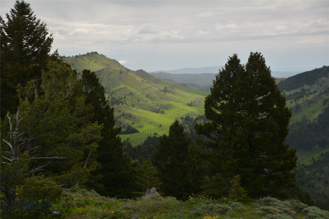 Rocky Mountain Meadows - Residential