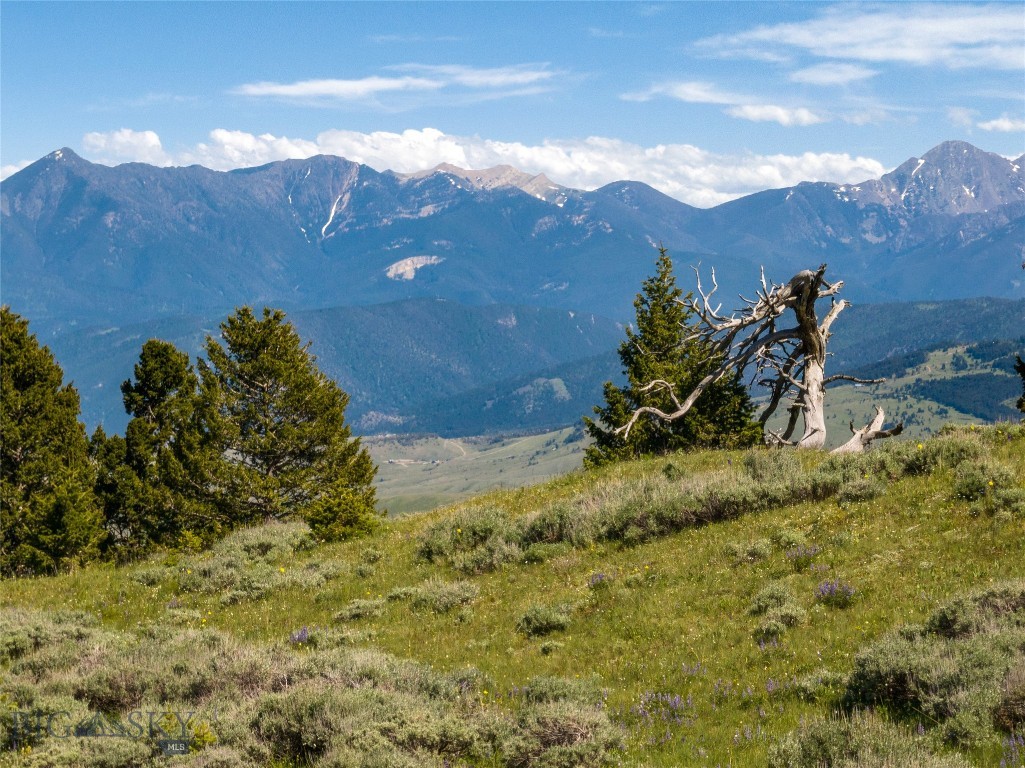 Rocky Mountain Meadows - Residential