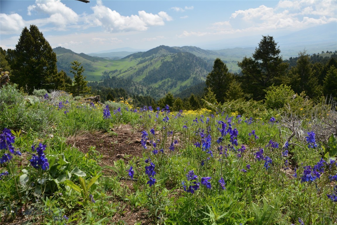 Rocky Mountain Meadows - Residential