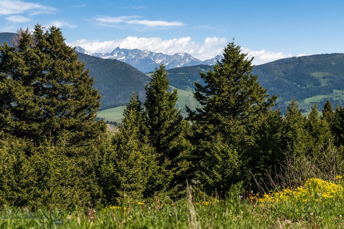 Rocky Mountain Meadows - Residential