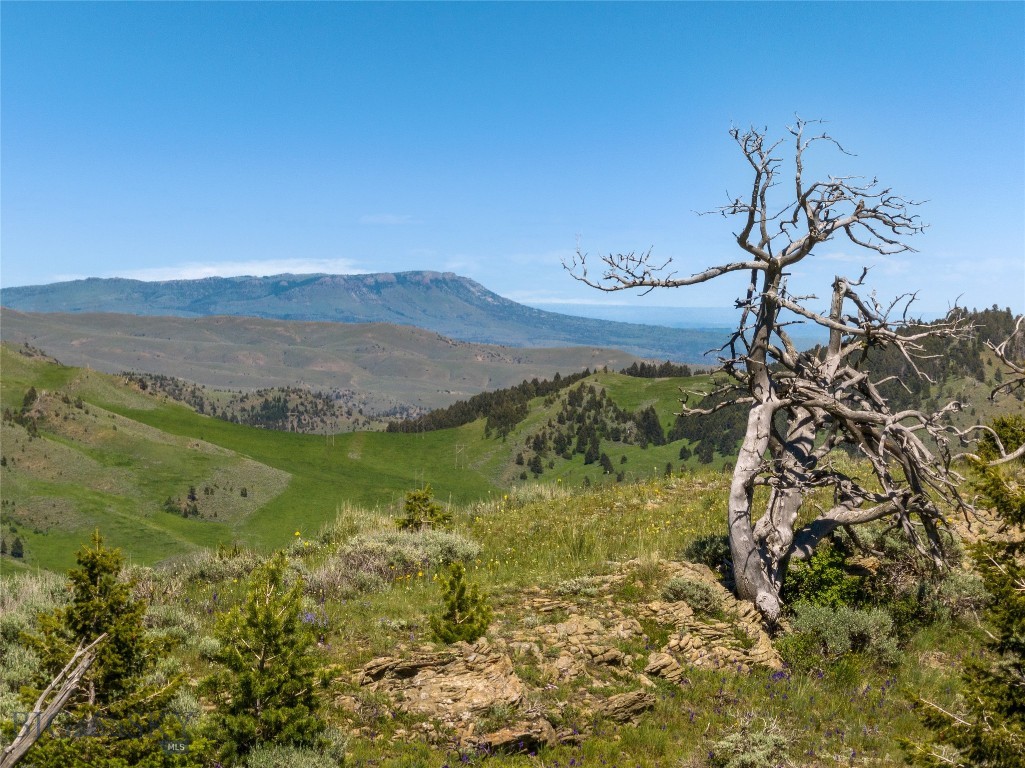 Rocky Mountain Meadows - Residential
