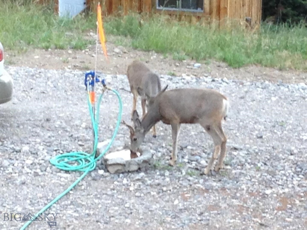 Quinn Creek Properties - Residential