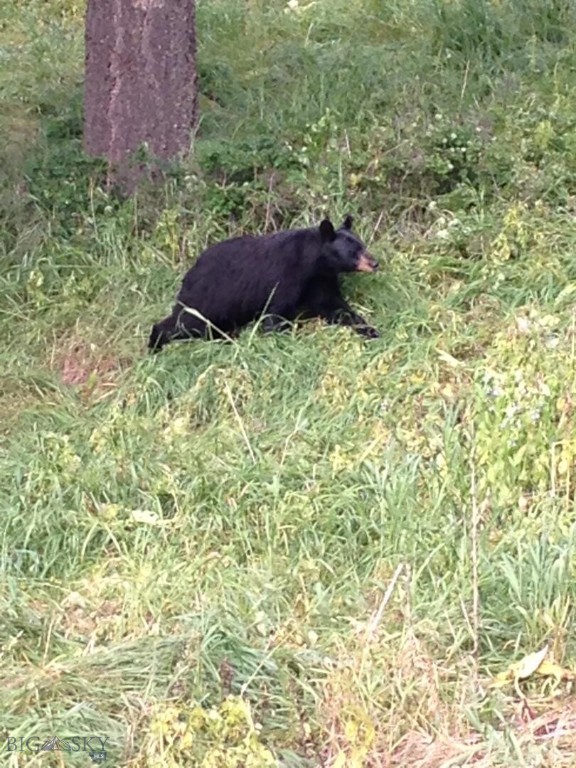 Quinn Creek Properties - Residential