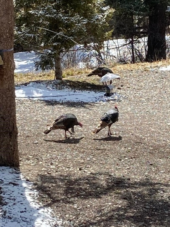 Quinn Creek Properties - Residential