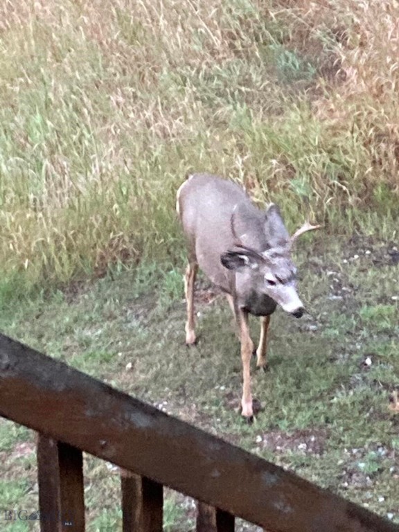 Quinn Creek Properties - Residential