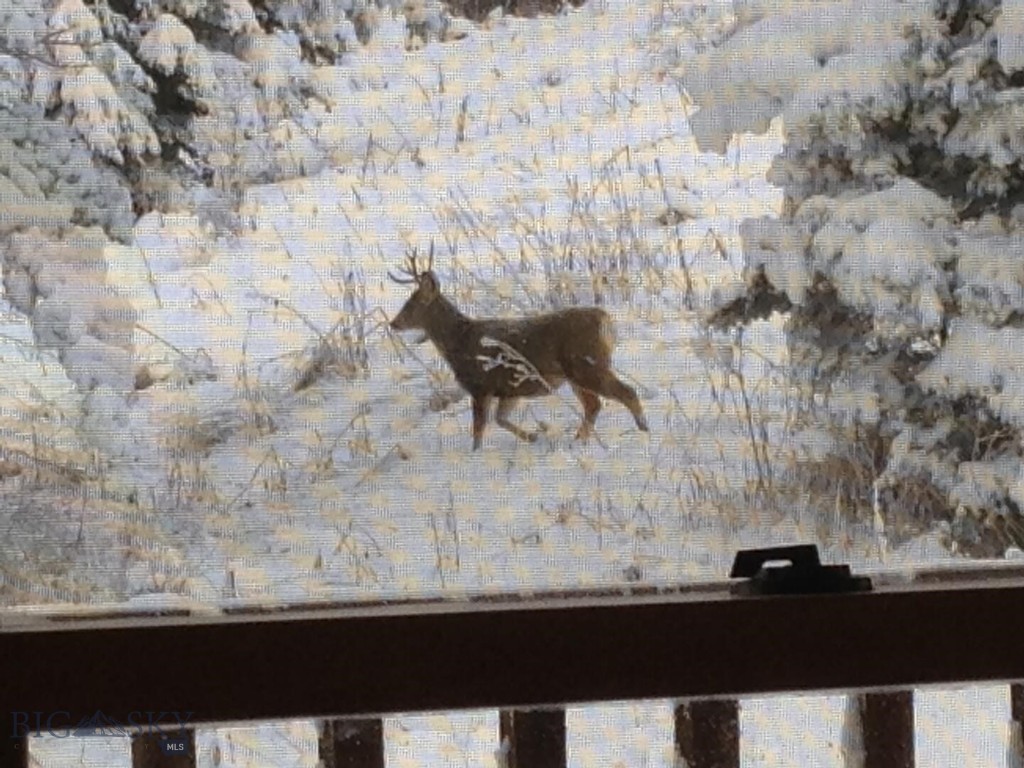 Quinn Creek Properties - Residential