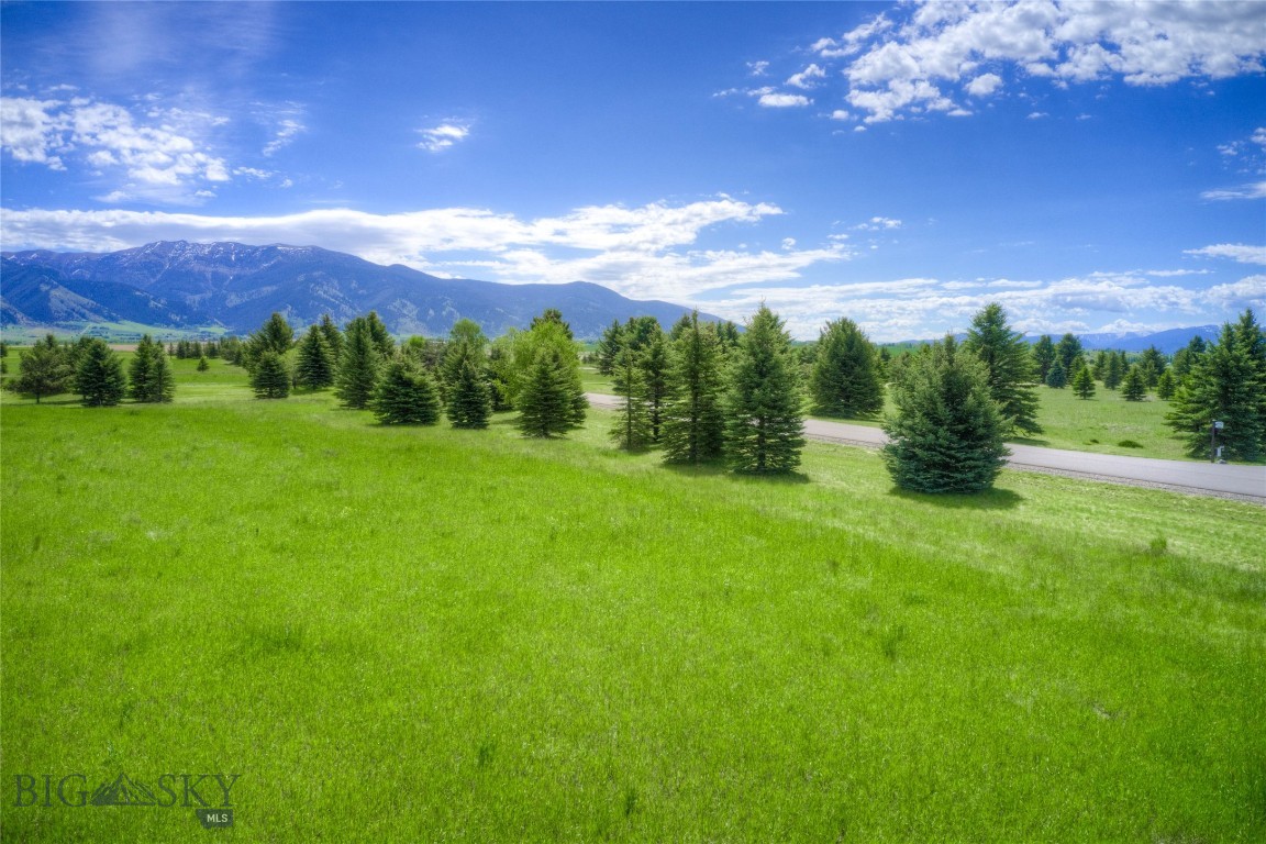 Bridger Lake Meadows - Land