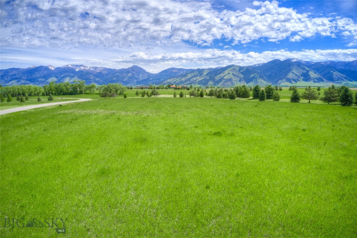 Bridger Lake Meadows - Land