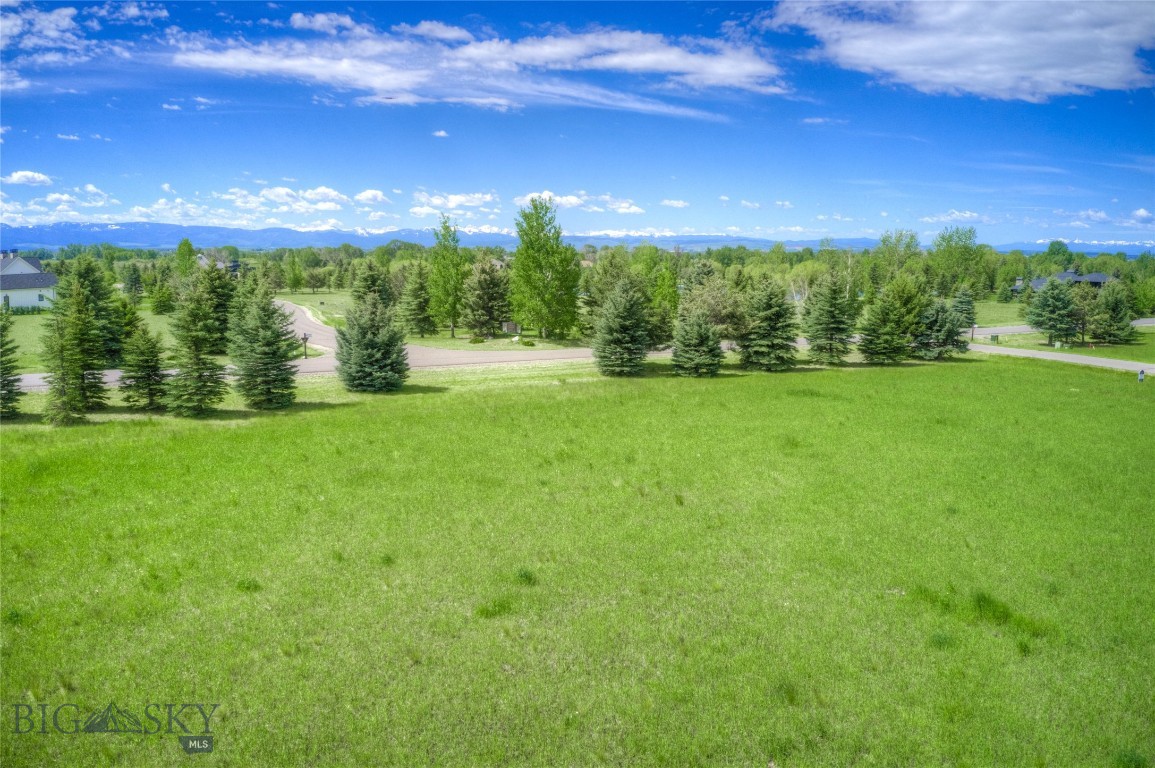Bridger Lake Meadows - Land