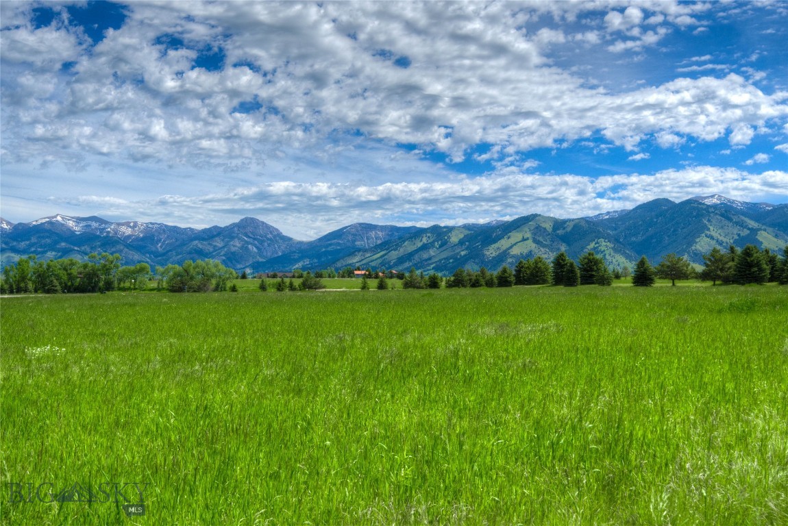Bridger Lake Meadows - Land