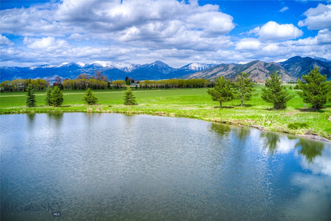 Bridger Lake Meadows - Land