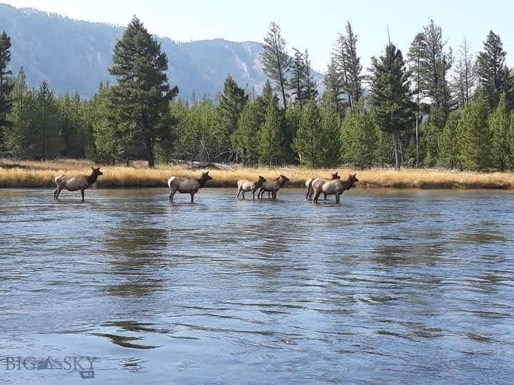 Buffalo Lance Ranch - Residential