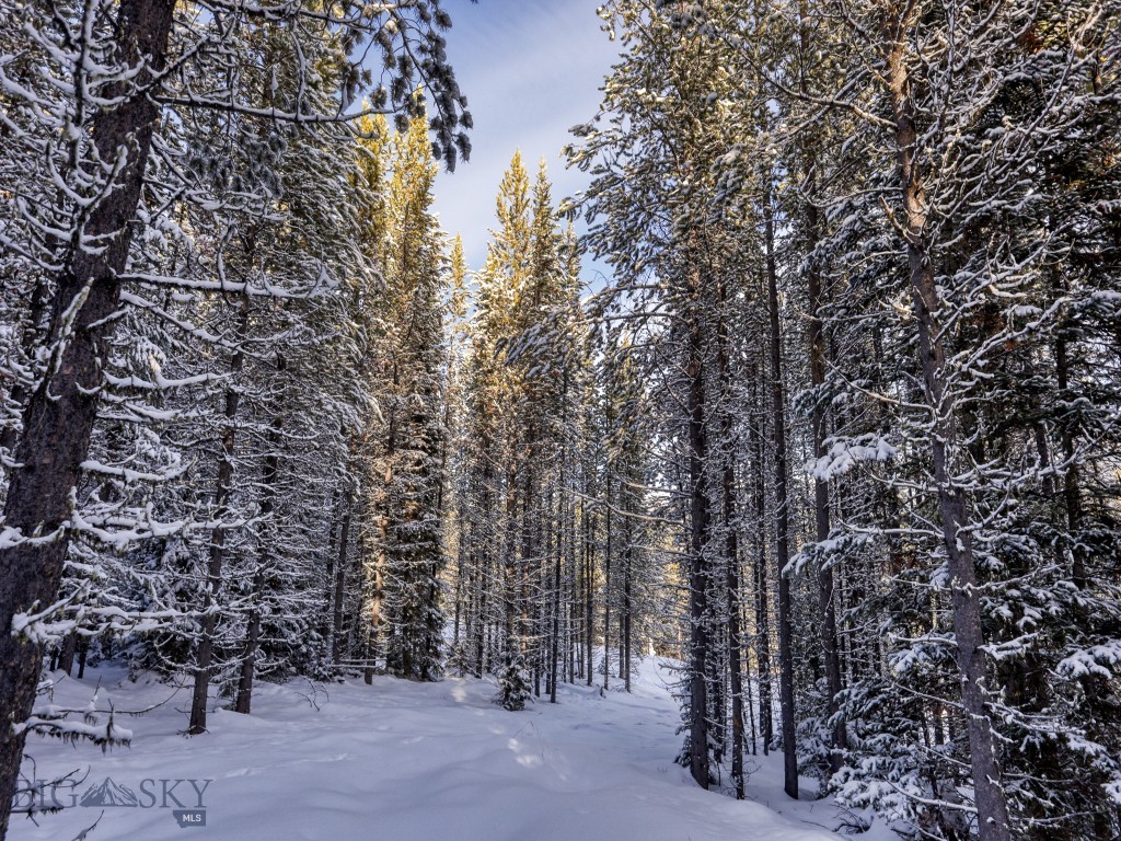 Spanish Peaks North - Land