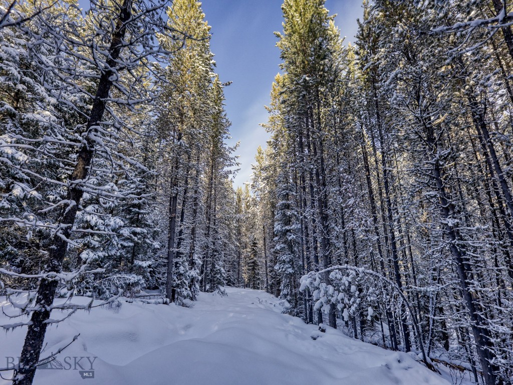 Spanish Peaks North - Land
