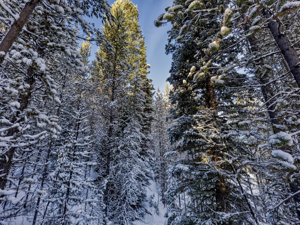 Spanish Peaks North - Land