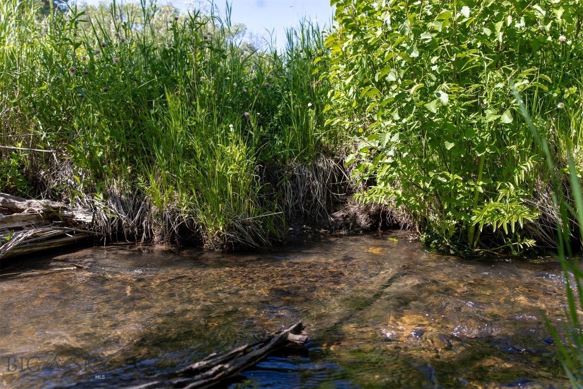 NHN Skunk Creek